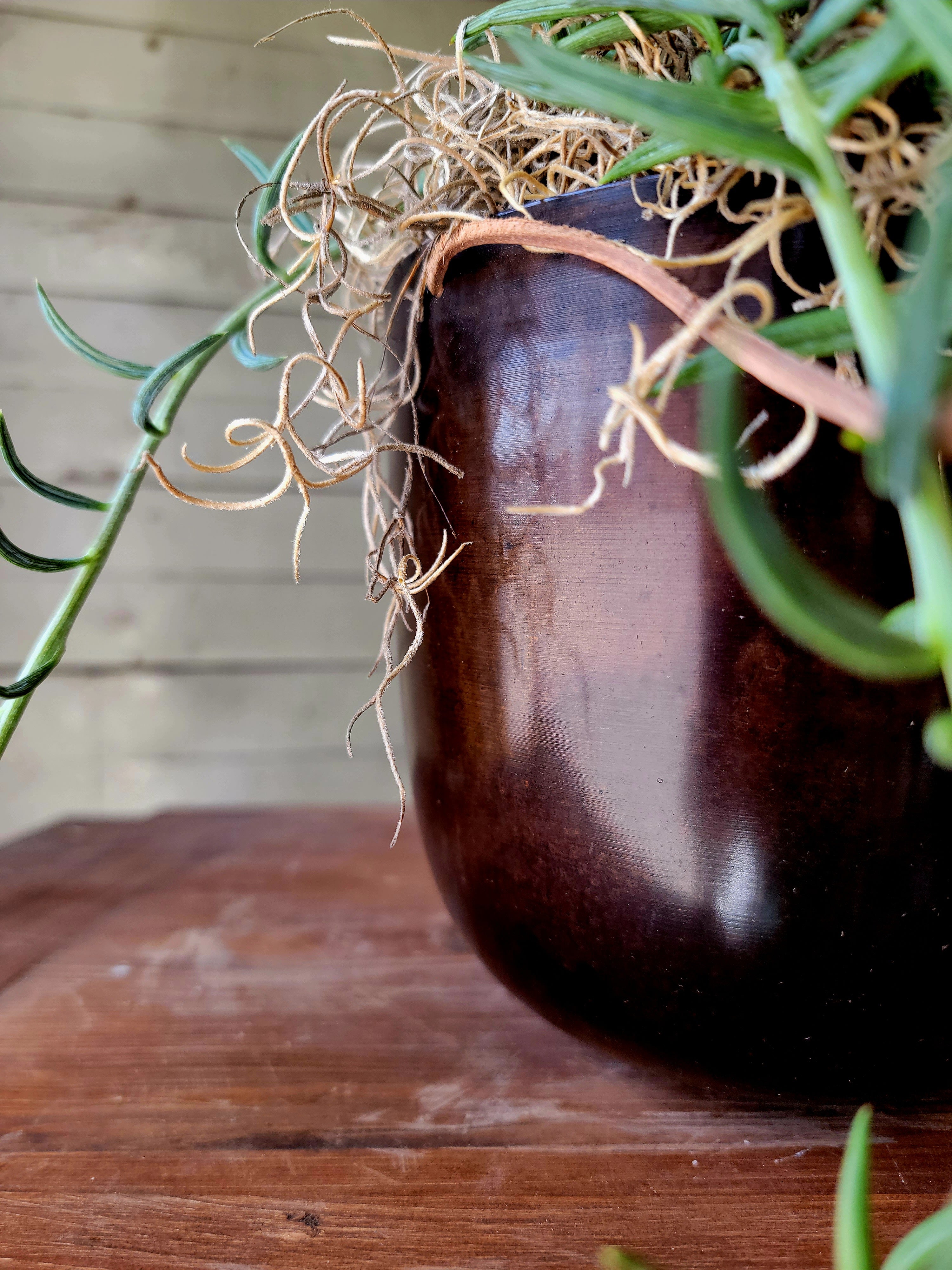 String of Fishhooks styled in Bronze Hanging Planter