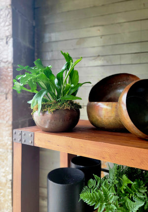 Copper Bowl