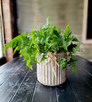 Calla Planter