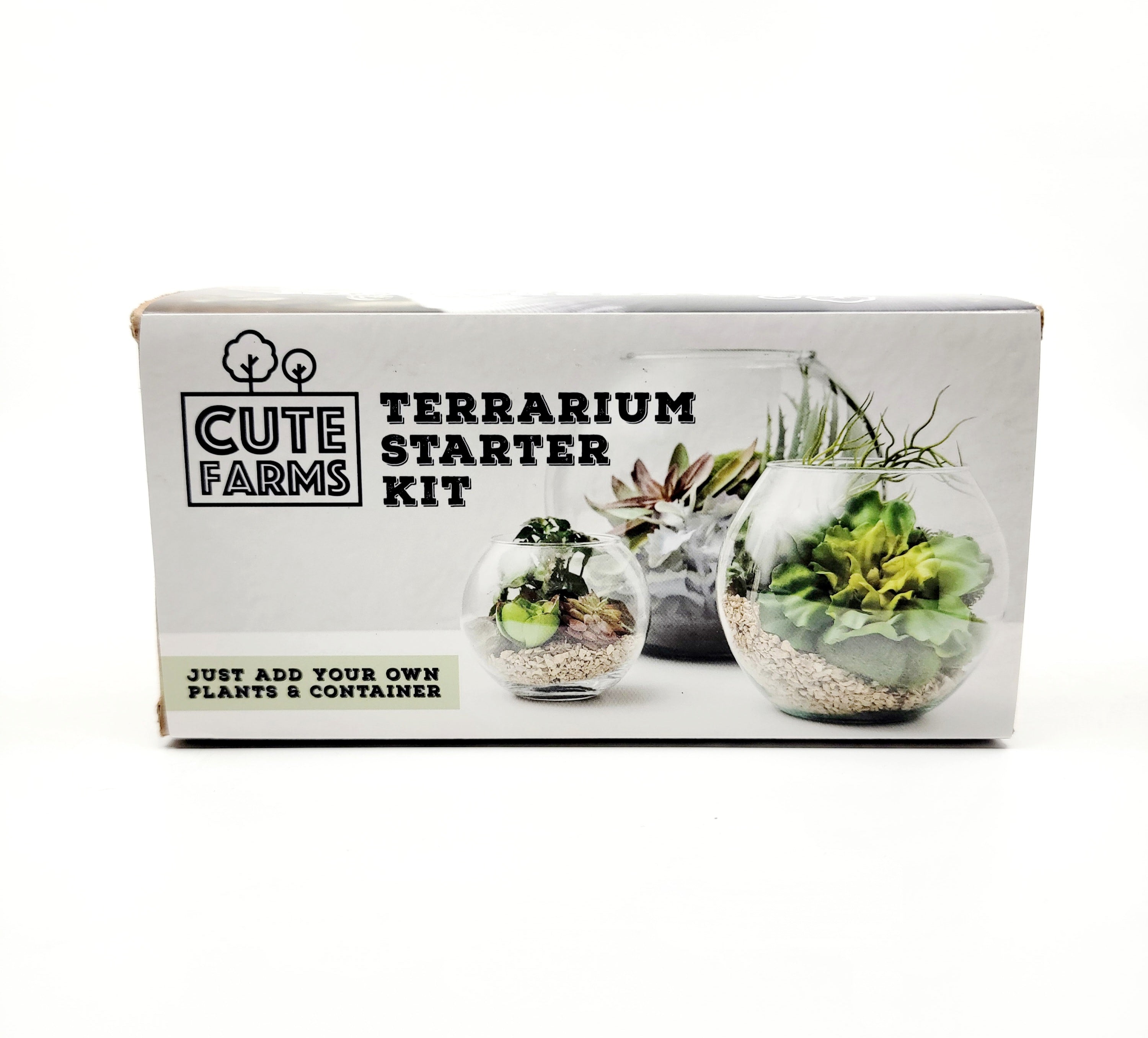 Terrarium Starter Kit