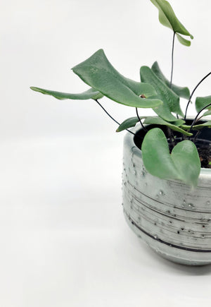 Ferris Footed Planter