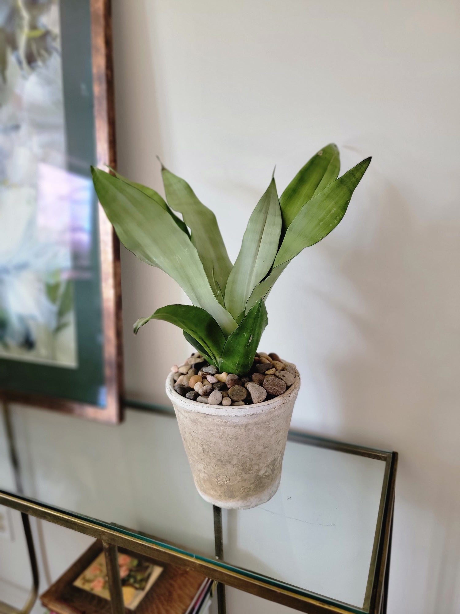 Rustic Terracotta Planter